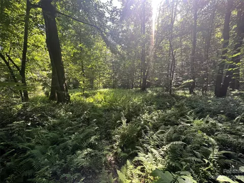 0000 Fox Hollow Rd, Pisgah Forest, NC 28768