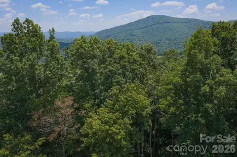 Poplar Forest Drive, Boone, NC 28607
