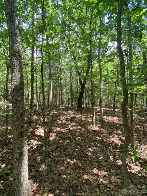 00 Hwy 97 Hwy, Sharon, SC 29745