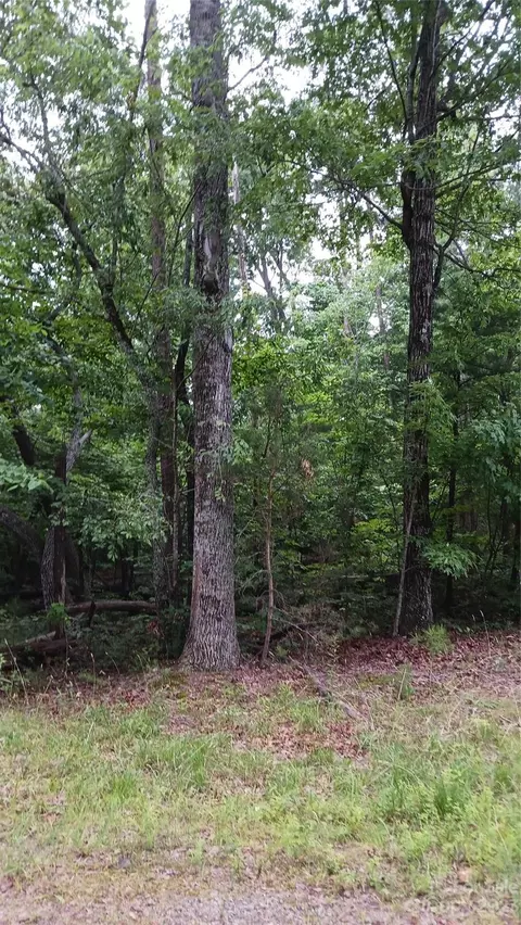 0 Deerfield Dr, Mill Spring, NC 28756 photo 8