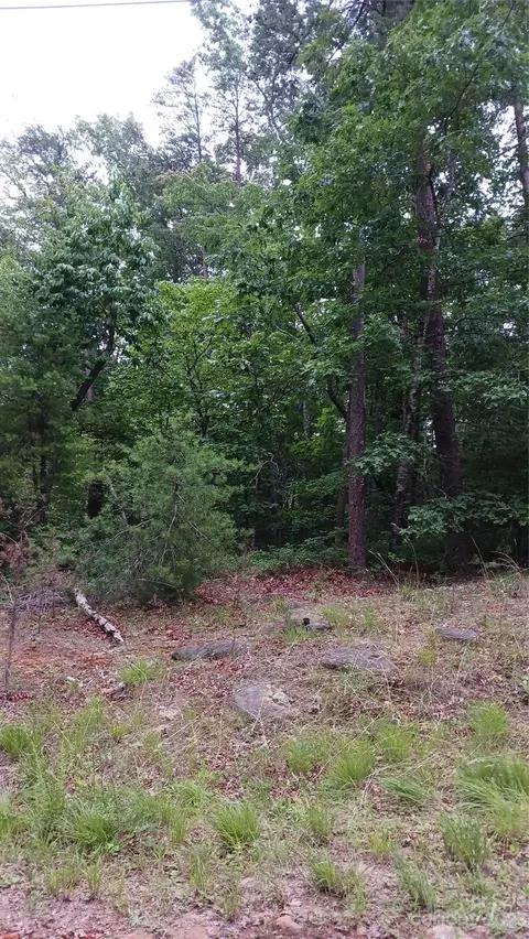 0 Deerfield Dr, Mill Spring, NC 28756 photo 5