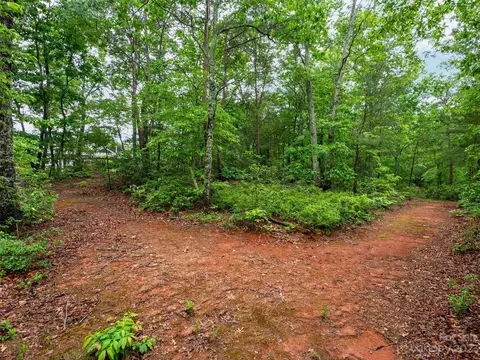 147 Spring Hill Ln, Mill Spring, NC 28756 photo 34