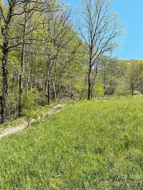 Shook Road, Marshall, NC 28753 photo 8