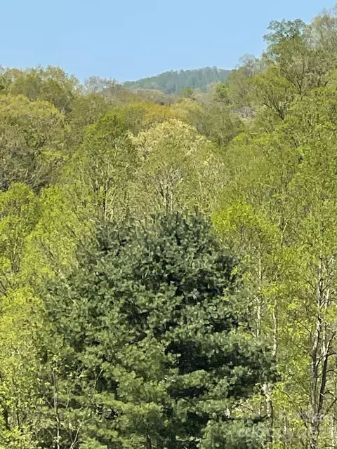 Shook Road, Marshall, NC 28753 photo 6
