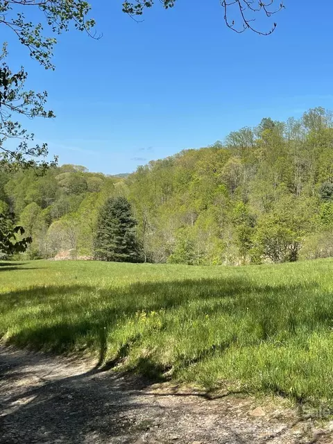 Shook Road, Marshall, NC 28753 photo 5