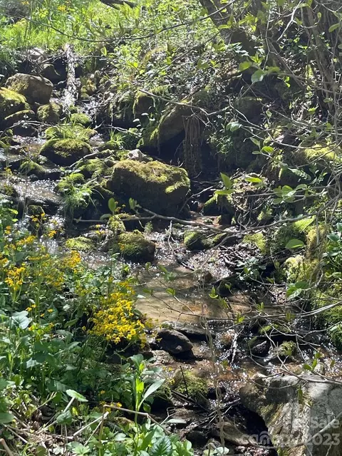 Shook Road, Marshall, NC 28753 photo 3