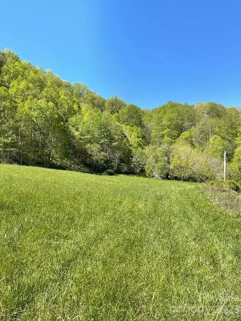Shook Road, Marshall, NC 28753 photo 10