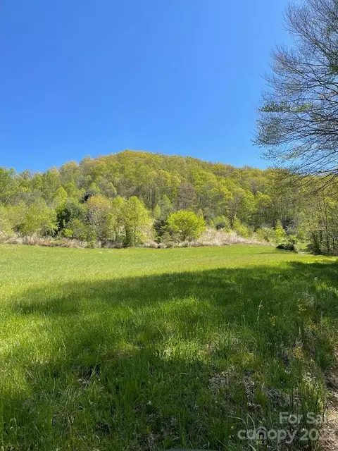 Shook Road, Marshall, NC 28753 photo 2