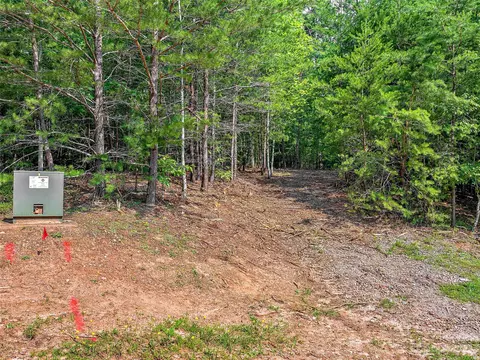 4 Huskey Pointe, Mill Spring, NC 28756 photo 10