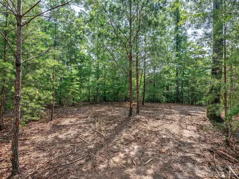 4 Huskey Pointe, Mill Spring, NC 28756 photo 11