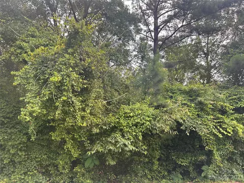 76 Choctaw Cir, Elgin, SC 29045 photo 7