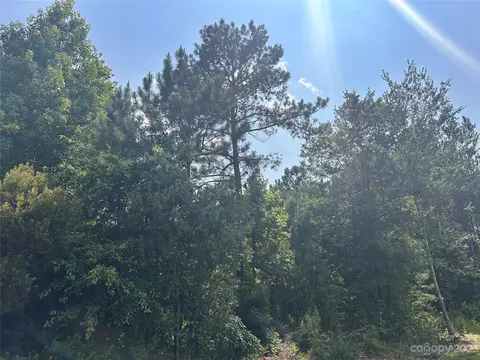 76 Choctaw Cir, Elgin, SC 29045 photo 6