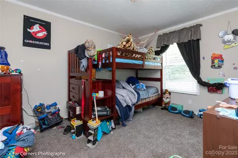 26 Eagle Ridge Ln, Mars Hill, NC 28754 photo 16