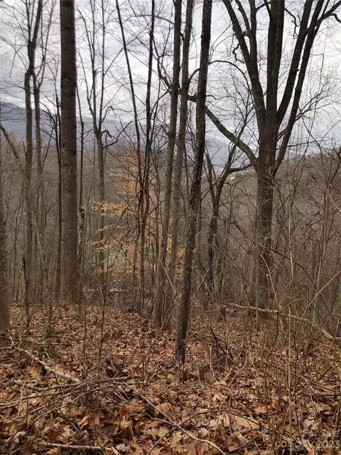 21 Aaron Way, Waynesville, NC 28786