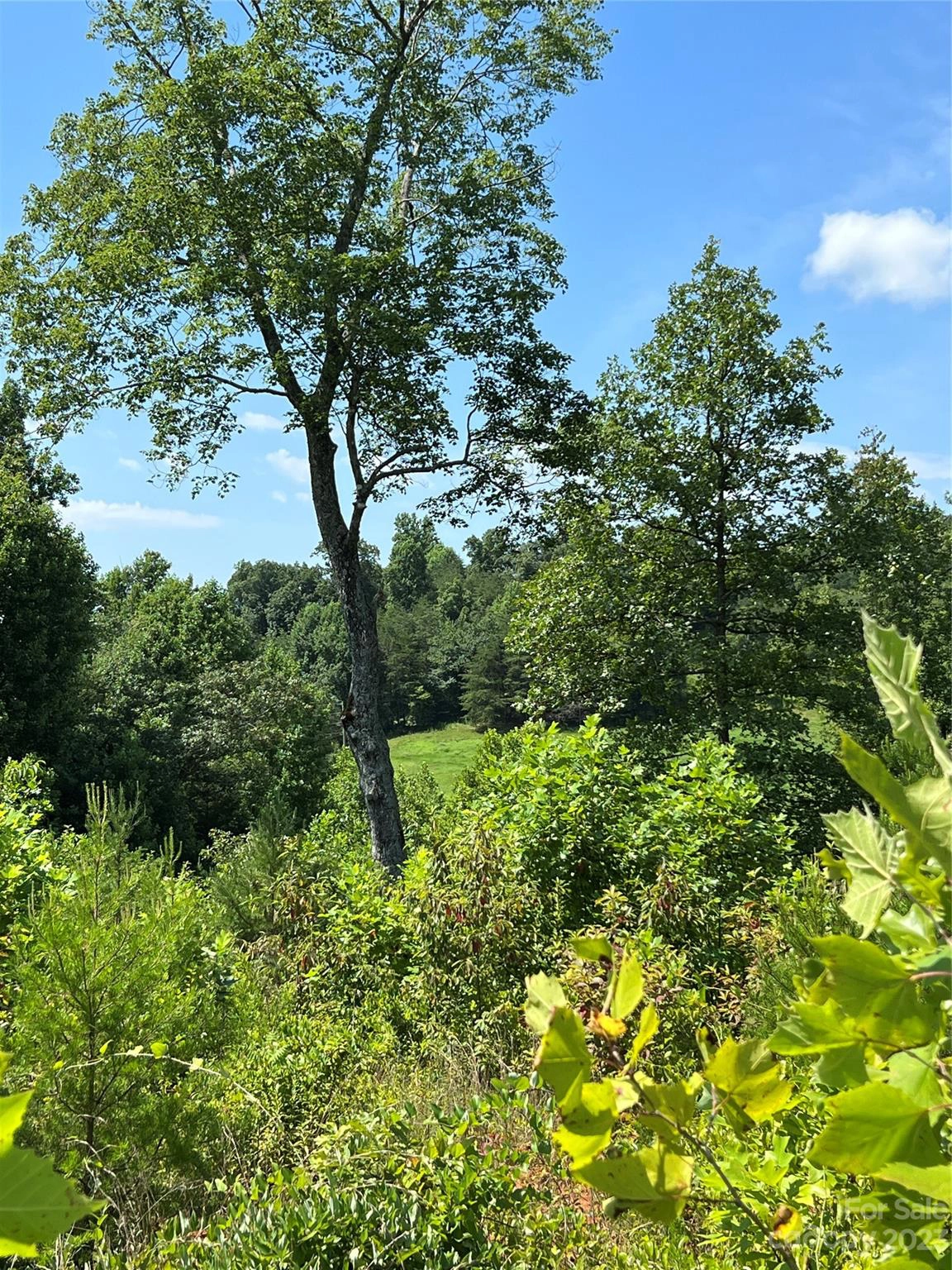 127 Buck Ridge 56 7 Dr Unit 5 6 7