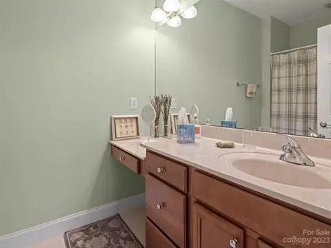 1 Split Creek Ct, Mills River, NC 28759 photo 20