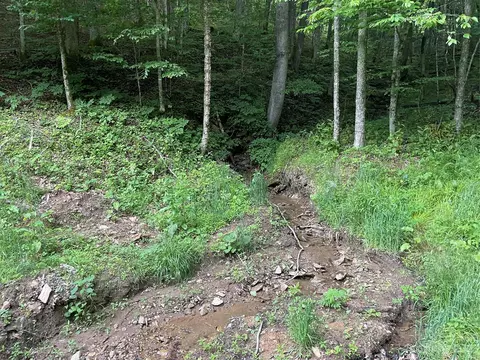 000 Chestnut Ln, Mars Hill, NC 29754