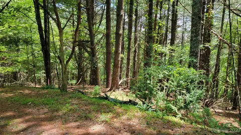 River Pointe Lane, Sparta, NC 28675 photo 16