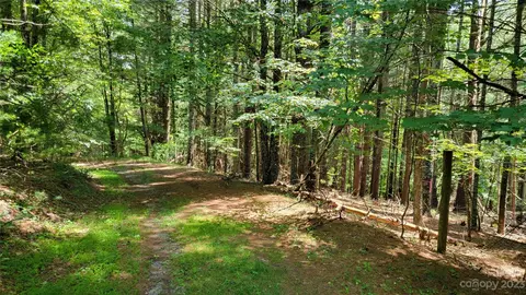 River Pointe Lane, Sparta, NC 28675 photo 13