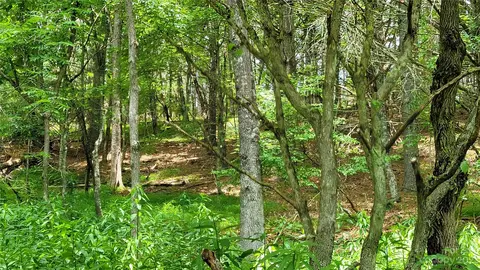 River Pointe Lane, Sparta, NC 28675 photo 9