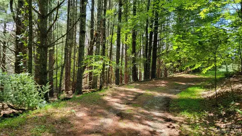 River Pointe Lane, Sparta, NC 28675 photo 19