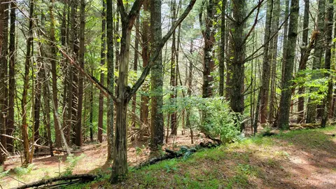 River Pointe Lane, Sparta, NC 28675 photo 18