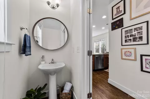447 Spring St, Davidson, NC 28036 photo 19