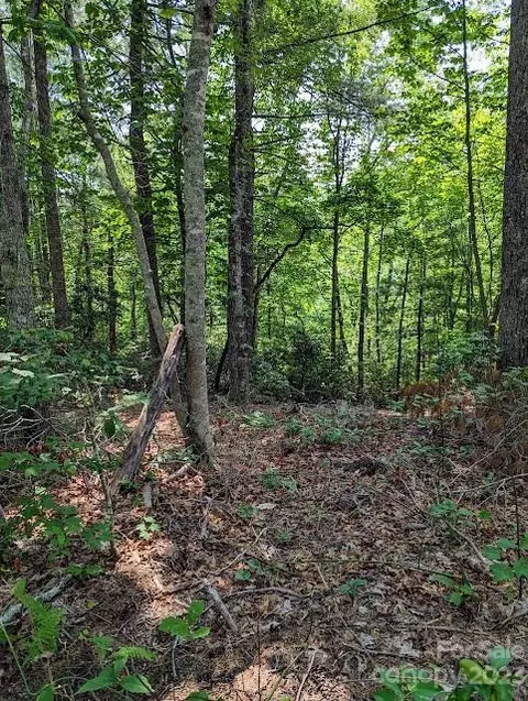 Tbd Erwin Hill Drive, Etowah, NC 28729