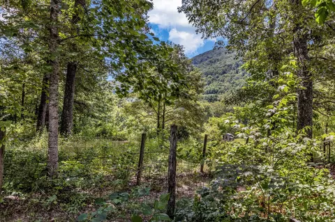110 Terrys Gap Loop Rd, Fletcher, NC 28732 photo 30