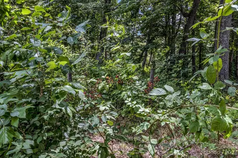 110 Terrys Gap Loop Rd, Fletcher, NC 28732 photo 31