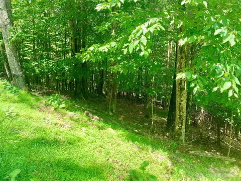 109 Greenbriar Rd, Beech Mountain, NC 28604 photo 6