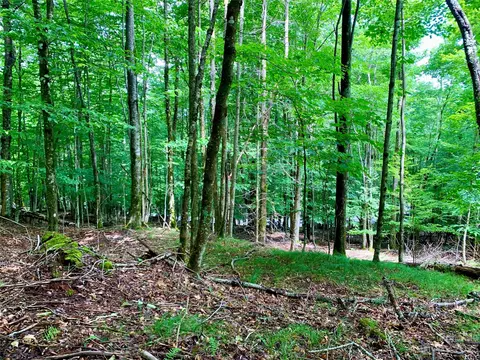 109 Greenbriar Rd, Beech Mountain, NC 28604 photo 5