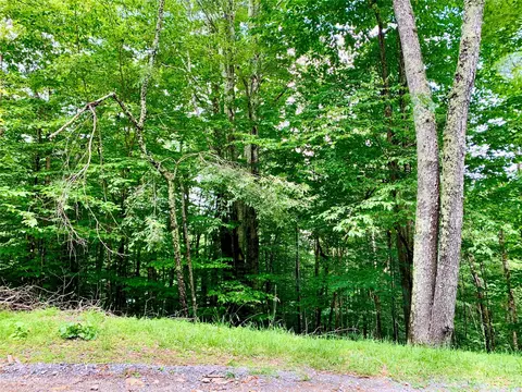 109 Greenbriar Rd, Beech Mountain, NC 28604 photo 11