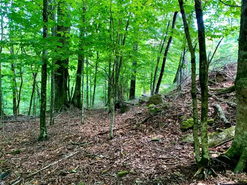 109 Greenbriar Rd, Beech Mountain, NC 28604 photo 8