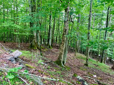 109 Greenbriar Rd, Beech Mountain, NC 28604 photo 7