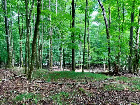 109 Greenbriar Rd, Beech Mountain, NC 28604 photo 3