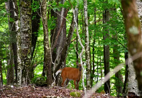 109 Greenbriar Rd, Beech Mountain, NC 28604