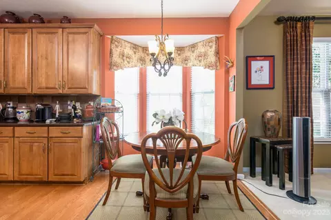 343 Garnet Ct, Fort Mill, SC 29708 photo 19