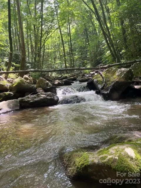 000 Big Plumtree Creek Rd, Plumtree, NC 28664 photo 10