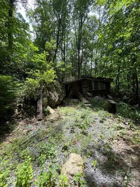 000 Big Plumtree Creek Rd, Plumtree, NC 28664 photo 17