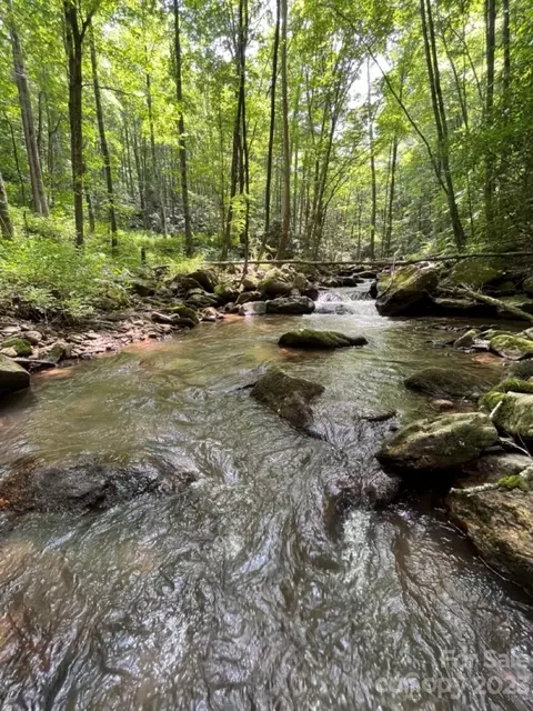 000 Big Plumtree Creek Rd, Plumtree, NC 28664 photo 12
