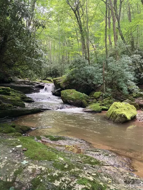 000 Big Plumtree Creek Rd, Plumtree, NC 28664