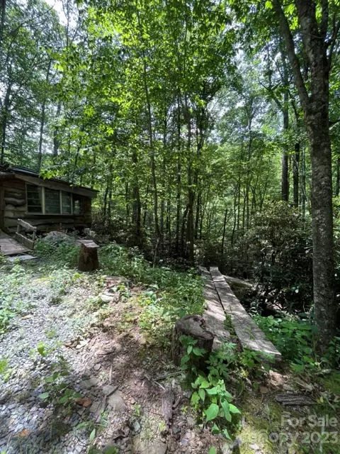 000 Big Plumtree Creek Rd, Plumtree, NC 28664 photo 18