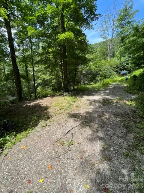 000 Big Plumtree Creek Rd, Plumtree, NC 28664 photo 15