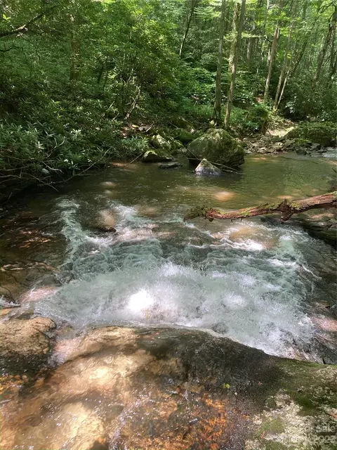 000 Big Plumtree Creek Rd, Plumtree, NC 28664 photo 4