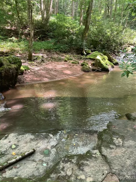 000 Big Plumtree Creek Rd, Plumtree, NC 28664 photo 5