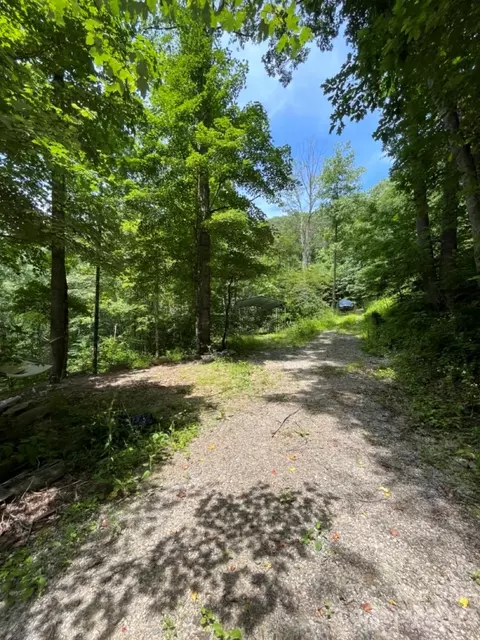000 Big Plumtree Creek Rd, Plumtree, NC 28664 photo 20