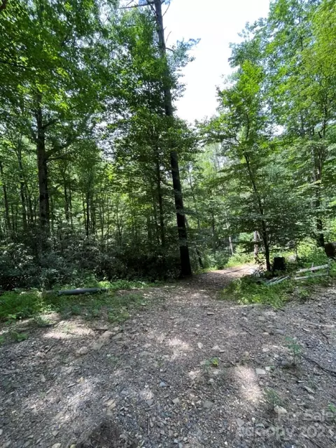 000 Big Plumtree Creek Rd, Plumtree, NC 28664 photo 16