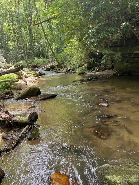 000 Big Plumtree Creek Rd, Plumtree, NC 28664 photo 7