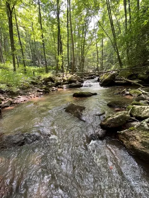 000 Big Plumtree Creek Rd, Plumtree, NC 28664 photo 11
